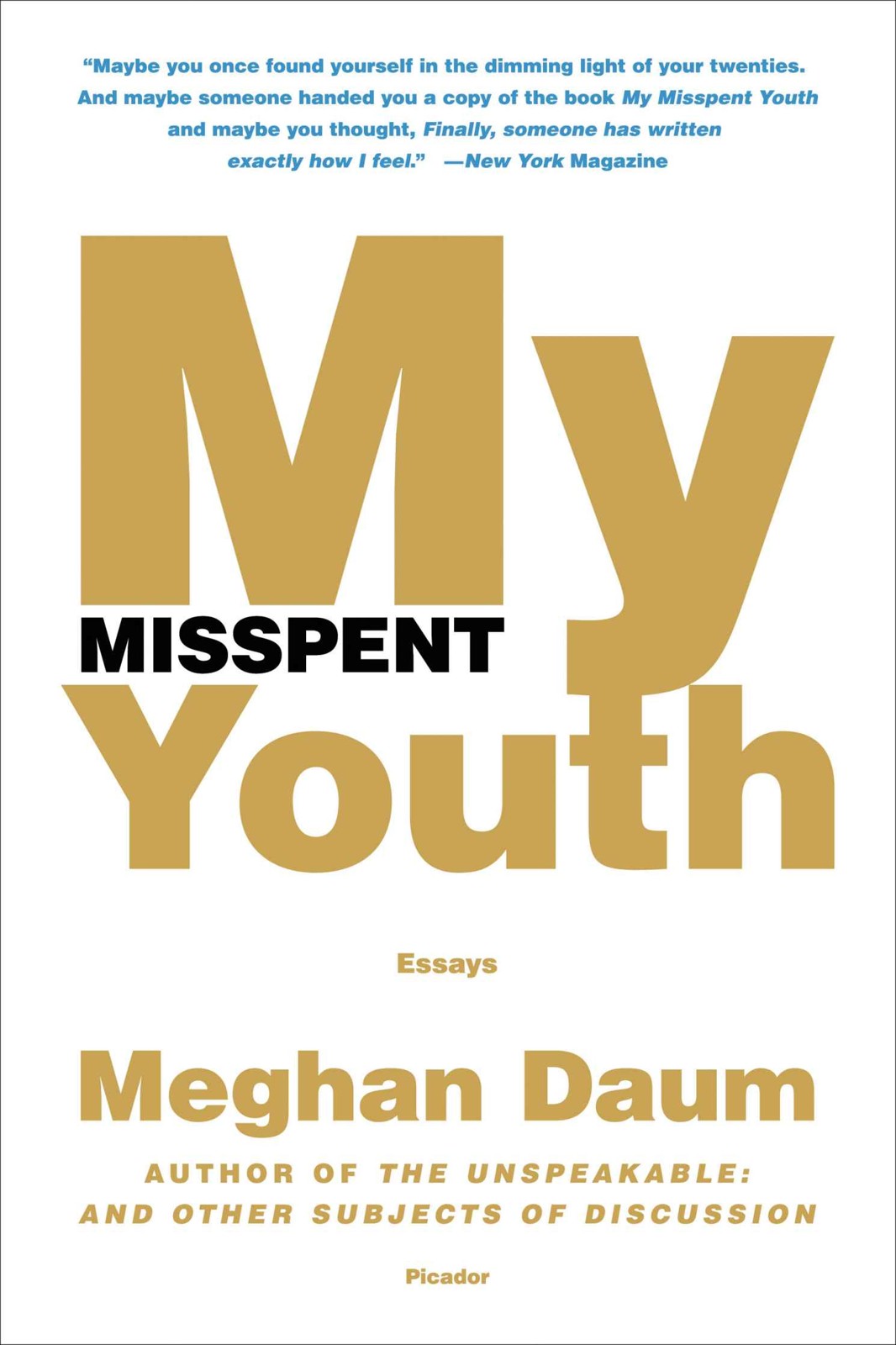 My Misspent Youth: Essays